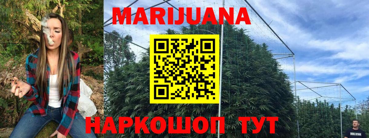 Губкин  Шишки марихуана Ganja  Вход с VPN  Канабис White Widow 